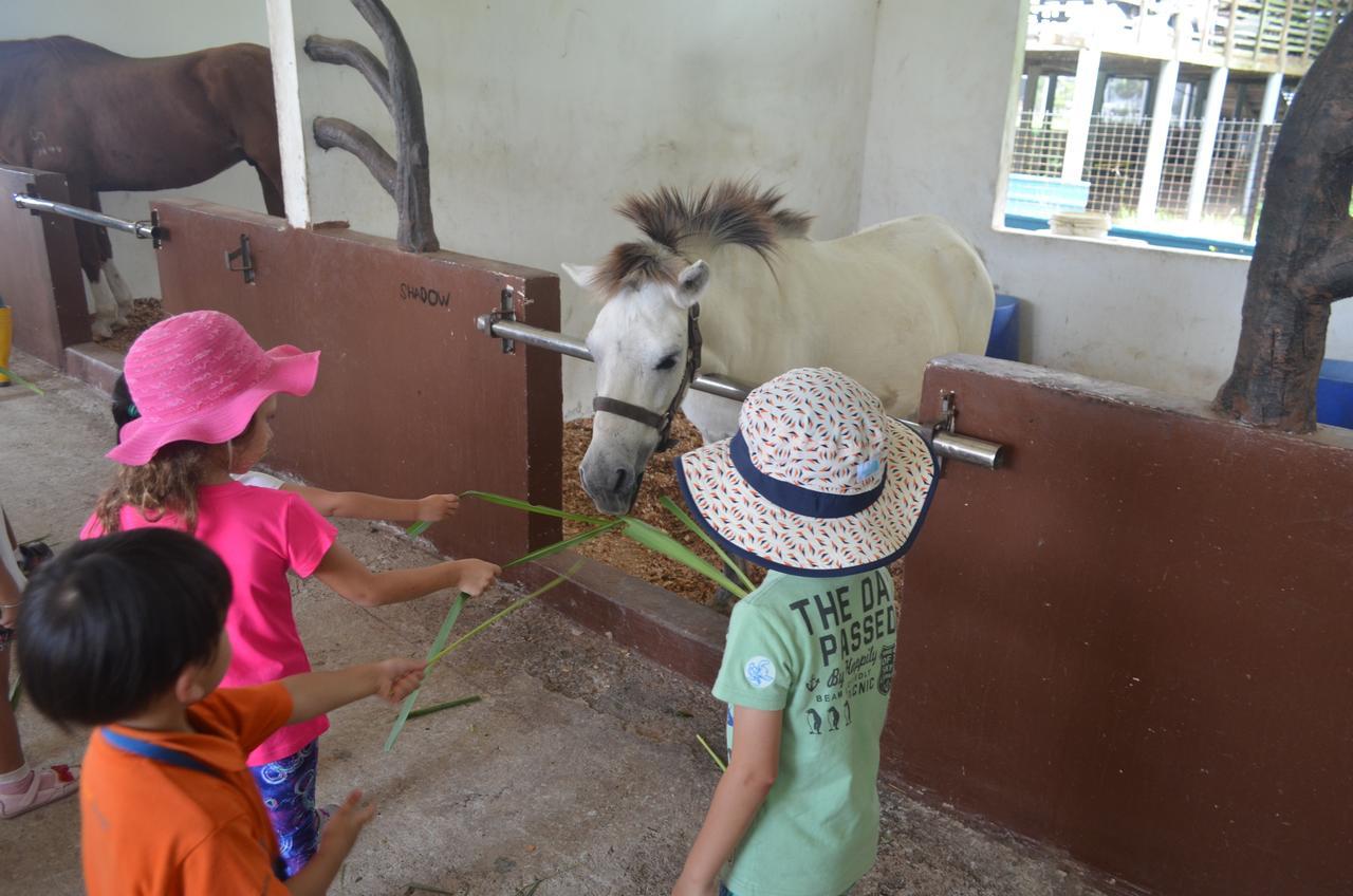 Sinar Eco Resort Kampong Bukit Panjang Zewnętrze zdjęcie