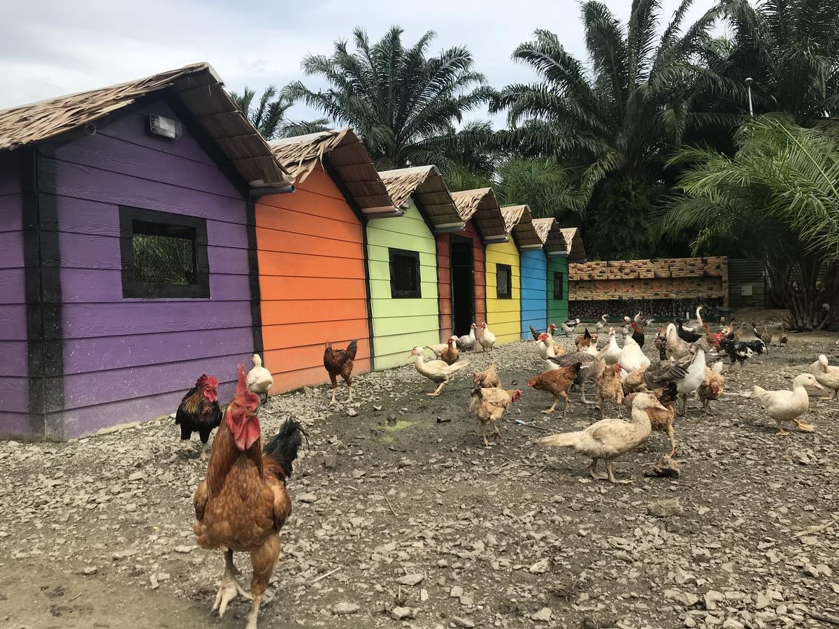 Sinar Eco Resort Kampong Bukit Panjang Zewnętrze zdjęcie
