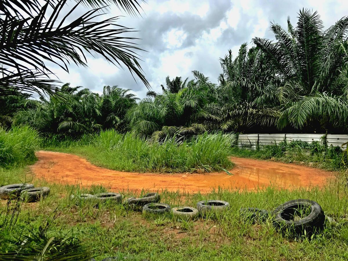 Sinar Eco Resort Kampong Bukit Panjang Zewnętrze zdjęcie